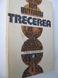 Trecerea - Ion Butnaru