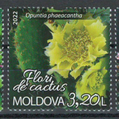 Moldova 2022 Mi 1211/13 MNH - Flori de cactus