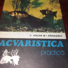 V. VOICAN * I. RADULESCU - ACVARISTICA PRACTICA