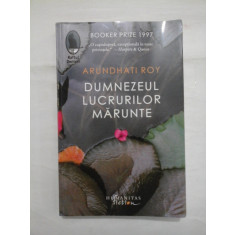 DUMNEZEUL LUCRURILOR MARUNTE - ARUNDHATI ROY