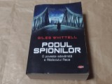 GILES WHITTELL - PODUL SPIONILOR