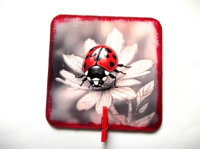 Magnet de frigider 46478 foto