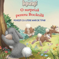 Disney Iepurasi. O surpriza pentru Bocanila. Poveste cu litere mari de tipar