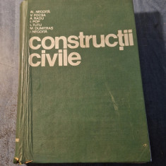 Constructii civile Alexandru Negoita