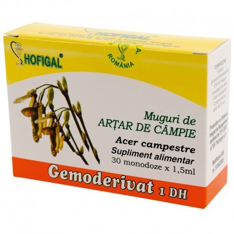 Gemoderivat Muguri Artar Hofigal 30mdz