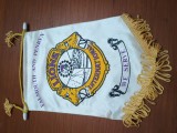 Fanion club LIONS DISTRICT . SPLENDID