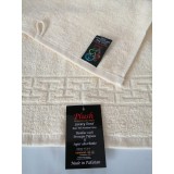Set 10 Prosoape 100% de bumbac Pakistanez 30x50 cm, cod P72
