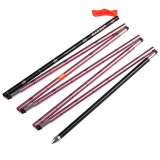 MAMMUT Probe 240 short dragon fruit