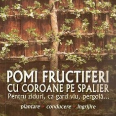 Pomi fructiferi cu coroane pe spalier