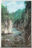 Bnk cp Cheile Dambovicioarei - Vedere - circulata, Printata, Arges