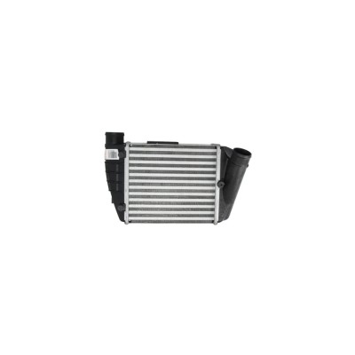 Intercooler Audi A4 Avant 8Ed B7 Denso Dit02028 foto
