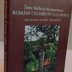 INTRE BELLU SI MONTPARNASSE, ROMANI CELEBRI IN FATA MORTII, DICTIONAR, IMAGINI, TESTAMENTE, 2008