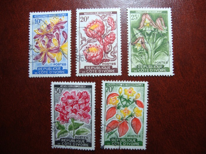 COASTA DE FILDES FLORA