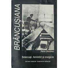 Petre Pandrea, Br&acirc;ncuși. Amintiri și exegeze, 2000