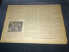 ZIARUL ROMANIA LIBERA 6 MARTIE 1955