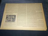 ZIARUL ROMANIA LIBERA 6 MARTIE 1955