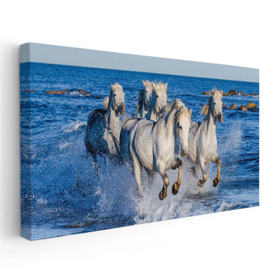 Tablou cai albi alergand prin apa Tablou canvas pe panza CU RAMA 70x140 cm foto