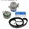 SKF VKMC 01113-2 Set pompa apa + curea dintata