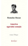 America ogarului cenusiu - Romulus Rusan - Spandugino