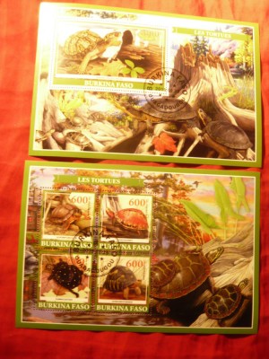 2 Blocuri Burkina Faso 2019 Fauna - Broaste Testoase foto