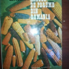 Rasele de porumb din Romania- M. Cristea