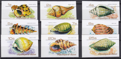 DB1 Fauna Marina Scoici 1977 Guineea 9 v. MNH NDT foto