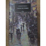 CALEA VICTORIEI-CEZAR PETRESCU-227162