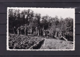 LIPOVA DRUMUL SPRE PADUREA COMUNALA FOTO STEINITZER