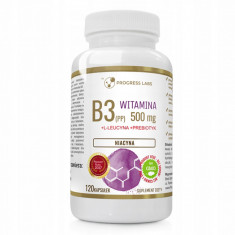 Progress Labs supliment alimentar Vitamina B3 500mg Niacin (PP) 120 capsule