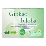 Cumpara ieftin Ginkgo biloba 40mg, 20 capsule, Naturalis