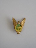 QW9 N2 27 - insigna - militar - aviatie - primul cosmonaut roman - an 1981, Romania de la 1950