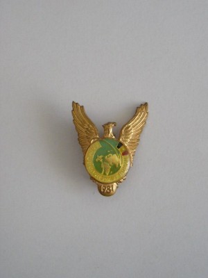 QW9 N2 27 - insigna - militar - aviatie - primul cosmonaut roman - an 1981 foto