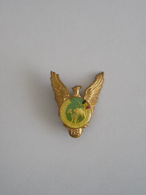 QW9 N2 27 - insigna - militar - aviatie - primul cosmonaut roman - an 1981