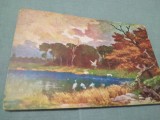 CARTE POSTALA FELICITARE 1931 CIRCULATA