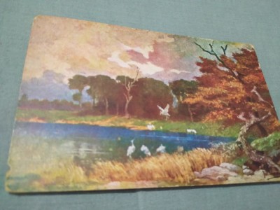 CARTE POSTALA FELICITARE 1931 CIRCULATA foto