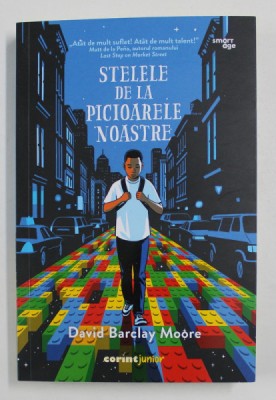 STELELE DE LA PICIOARELE NOASTRE de DAVID BARCLAY MOORE , 2021 foto