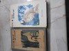 Arcul de triumf / Trei camarazi - Erich Maria Remarque