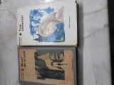 Cumpara ieftin Arcul de triumf / Trei camarazi - Erich Maria Remarque