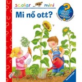 Mi nő ott? - Mit? Mi&eacute;rt? Hogyan? Scolar mini 17. - Constanza Droop
