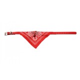 Zgarda caini si pisici cu bandana, esarfa, 39 x 1.5 cm, clopotel, rosu