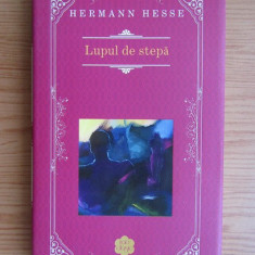 Hermann Hesse - Lupul de stepă