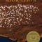 Migration: New &amp; Selected Poems