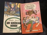 Calutul Cosmic si Un scrinciob verde de Mihaela Monoranu !