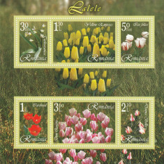Romania 2006-Flora,Flori,Lalele,bloc 6 valori,dantelate,MNH