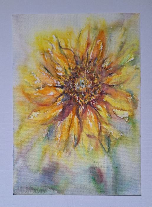 Pictura in acuarela neinramata - floarea soarelui, semnata, 2010, 17 x 24 cm