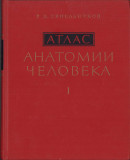 HST 40SP Sinelnikov atlas anatomia omului volumul I