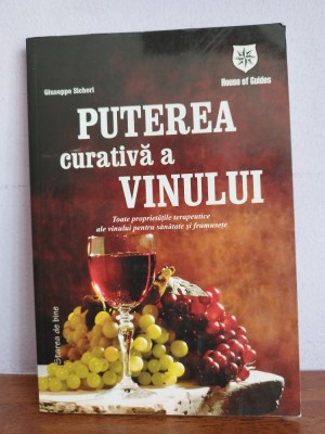 Giuseppe Sicheri &amp;ndash; Puterea curativa a vinului foto