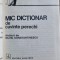 Silviu Constantinescu - Mic Dictionar de cuvinte perechi