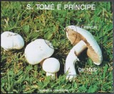 Coliță Ciuperci Protejate, Ciuperca de C&acirc;mp (Agaricus campestris) / S&atilde;o Tom&eacute; e Pr&iacute;ncipe (1992) - A583