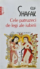 Cele patruzeci de legi ale iubirii (Top 10+) - 2014 - Elif Shafak (AD130)